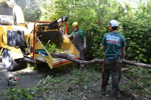 tree services Waverly Hall